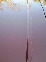 IMG_1082.JPG