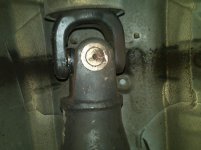 IMG00076-20101026-1508.jpg