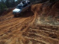 megarun2010.2.jpg