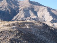 IMG_4272.jpg