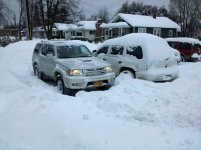 IMG_20110202_135501.jpg