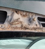 thumbnail (74).jpg