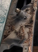 thumbnail (77).jpg