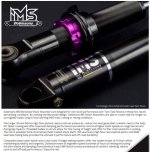 Dobinsons-IMS-description.jpg