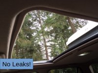 sunroof no leaks caption.jpg