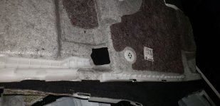 carpet_bottom1.jpg