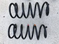 2020 Coils.jpeg