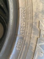 IMG_8130sm.jpg