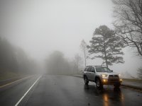 IMG_0017.jpg