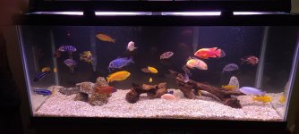Malawi Tank.jpg