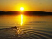 May 2009 Pike Fishing at Gary Ethan's 077.jpg