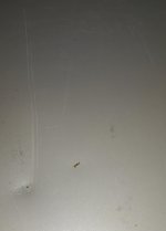IMG_20200617_010607.jpg