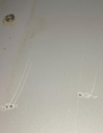 IMG_20200617_010638.jpg