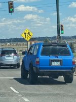 IMG_2664 copy.jpg