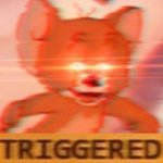 triggered.jpg