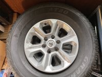 IMG_1673.jpeg