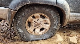 20201101_093203.jpg