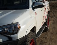 20201119-DSC07916.jpg