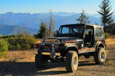 Wild Thing CJ-7 2.jpg