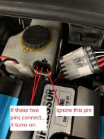 3 Pins small.jpg