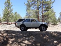 Patches @ Fish Creek 2020.jpg
