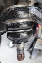 20201003_155323.jpg
