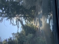 9ABF1F16-520D-4E76-85B2-D7BFDAF1780C.jpeg