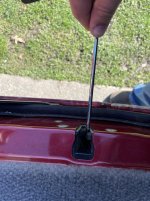 tricking the tailgate .jpg