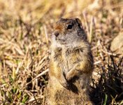 IMG_0040ee.jpg