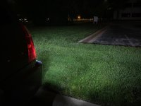 IMG_7883.jpg