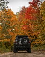 fall_1.jpg