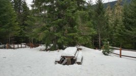 Picnic Area.jpg
