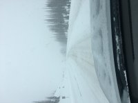 088D7429-0039-4B29-B0FB-36E7D185DD6A.jpg