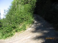 IMG_9879.JPG