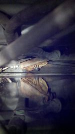 2011-03-12_19-30-31_1.jpg