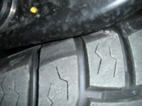 DSCN0987.jpg