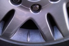IMAG0687.jpg