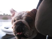 Cooper 005.jpg