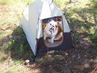 camping 009.jpg