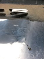 IMG_5819.jpg