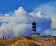 thumbnail (98).jpg