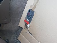 T4R Mouse.jpg