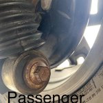 E3A3A2C6-E954-4DB0-96EC-DEAABC1CF2DA.jpg