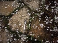 hail2.jpg hail2.jpg