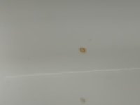 8D4F06E5-037C-40A5-A3CF-D818D2566713.jpeg