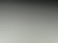 8C054C53-4A39-4F86-8275-478EE7B321F8.jpeg