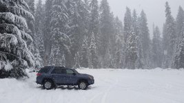 Snow.jpg