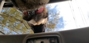 20191130_145259.jpg