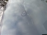 7C9AC06F-B4D2-4D25-8C57-A9FEA2C950B1.jpg