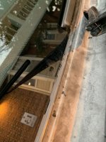 IMG_3164.jpeg